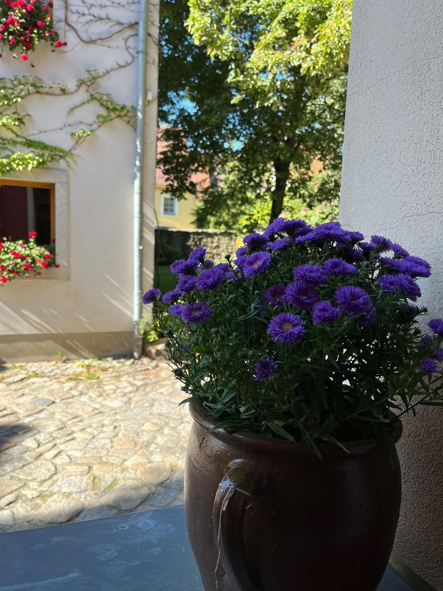 Appartement 5 Predigergasse Bautzen Eksteriør bilde