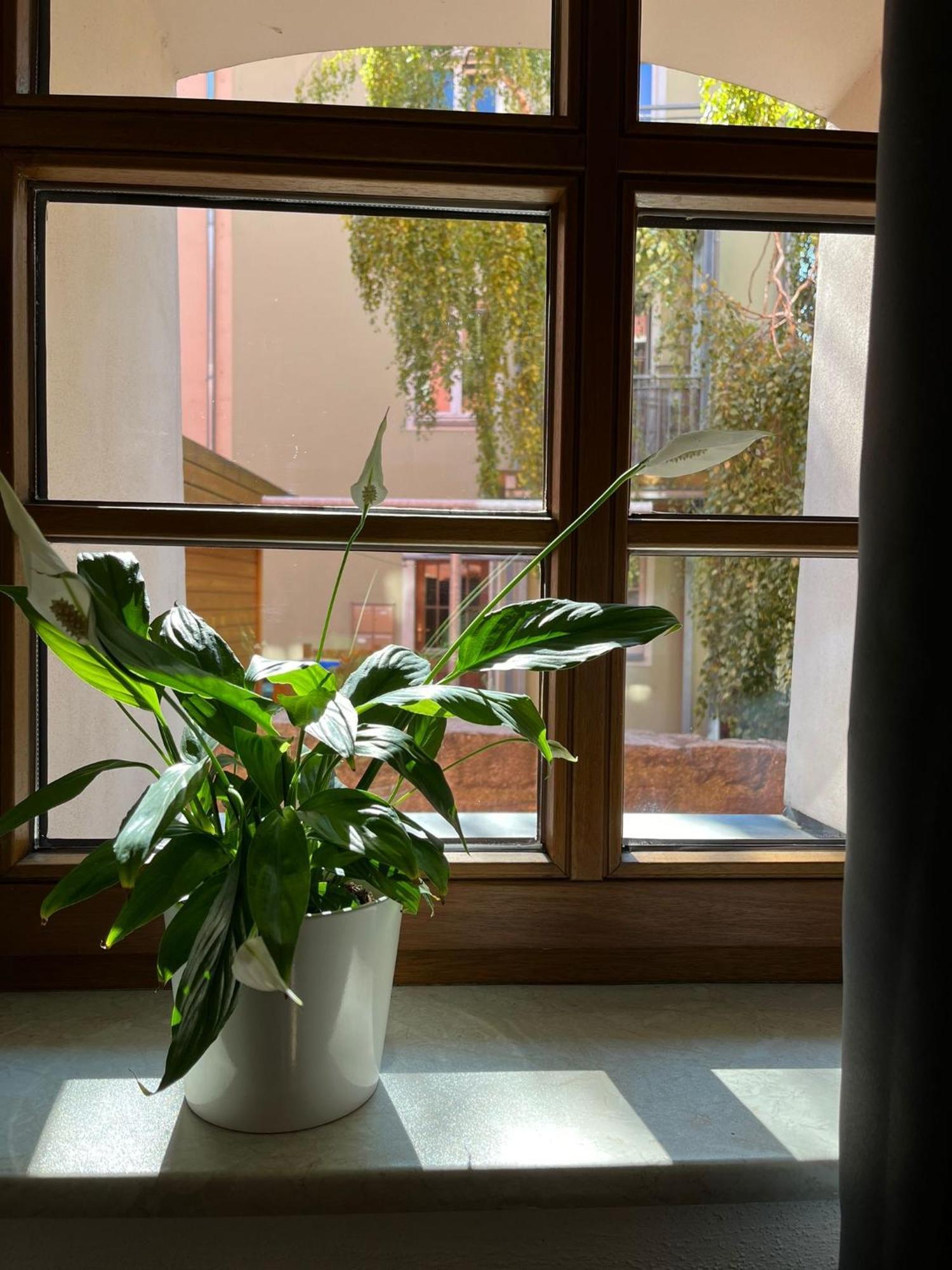 Appartement 5 Predigergasse Bautzen Eksteriør bilde